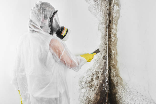 Water Damage Restoration in North Grosvenor Dale, CT