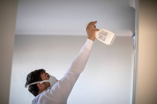 Best Residential Mold Removal  in North Grosvenor Dale, CT