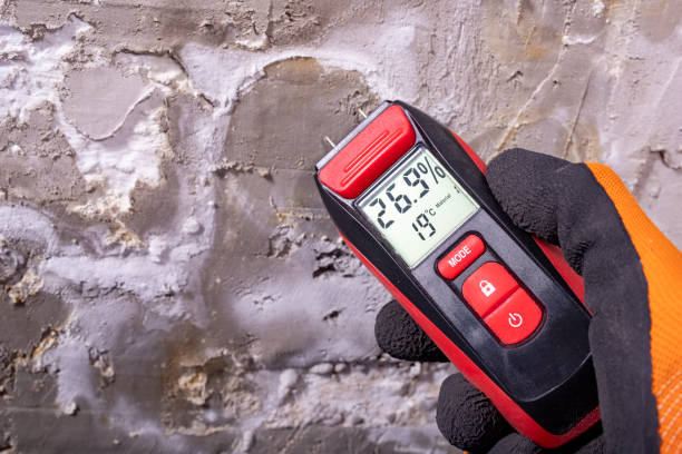 Trusted North Grosvenor Dale, CT Mold Removal Experts