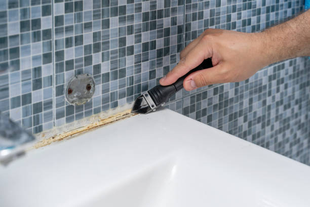 Best Mold Testing  in North Grosvenor Dale, CT